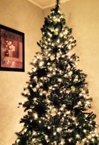 Christmas Tree Lights 2014b